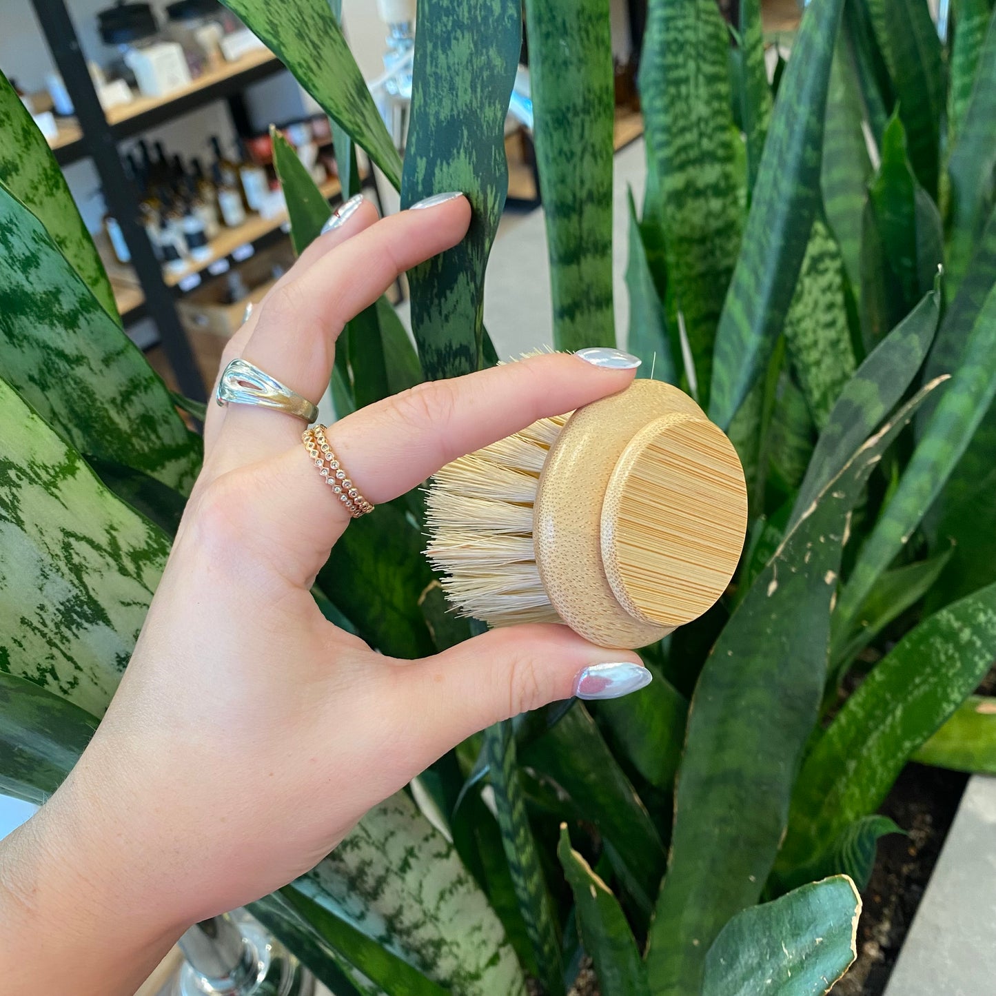 No Tox Life Dish Brush Replacement Head