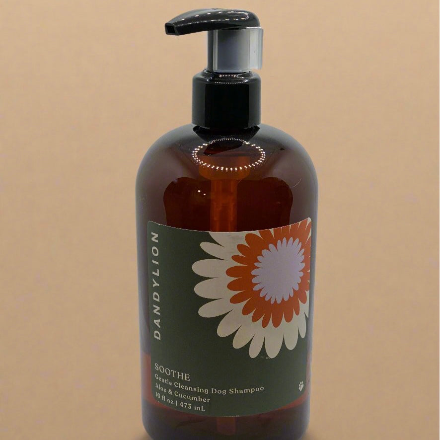 Dandylion Soothe Gentle Cleansing Shampoo