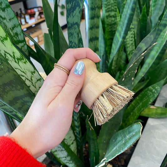 Scrub brush