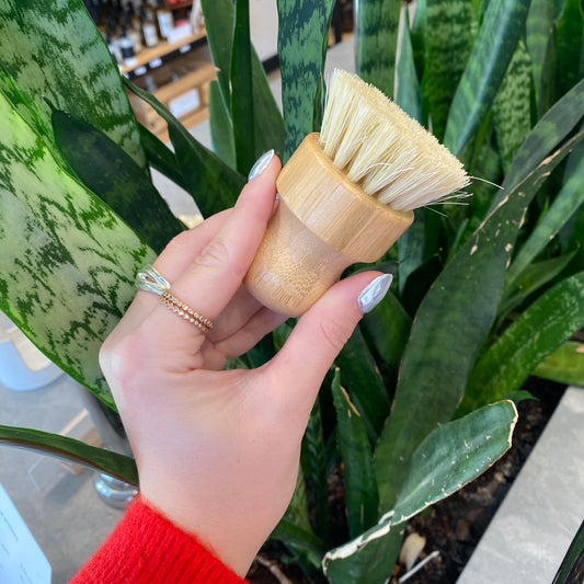 Dish Brush