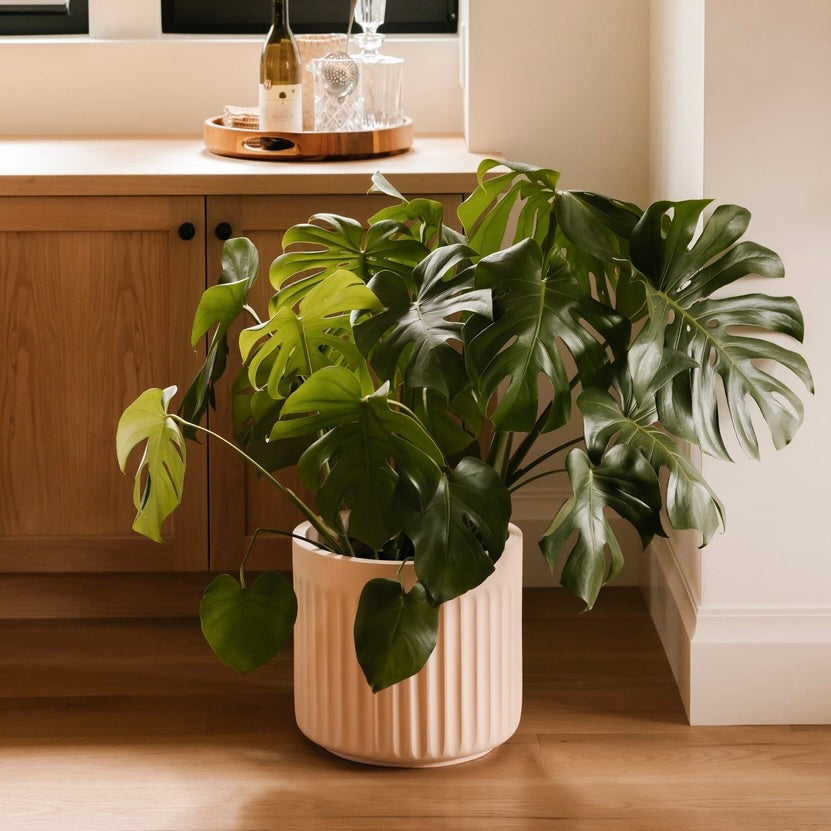 Hudson + Oak Arc Cylinder Planter