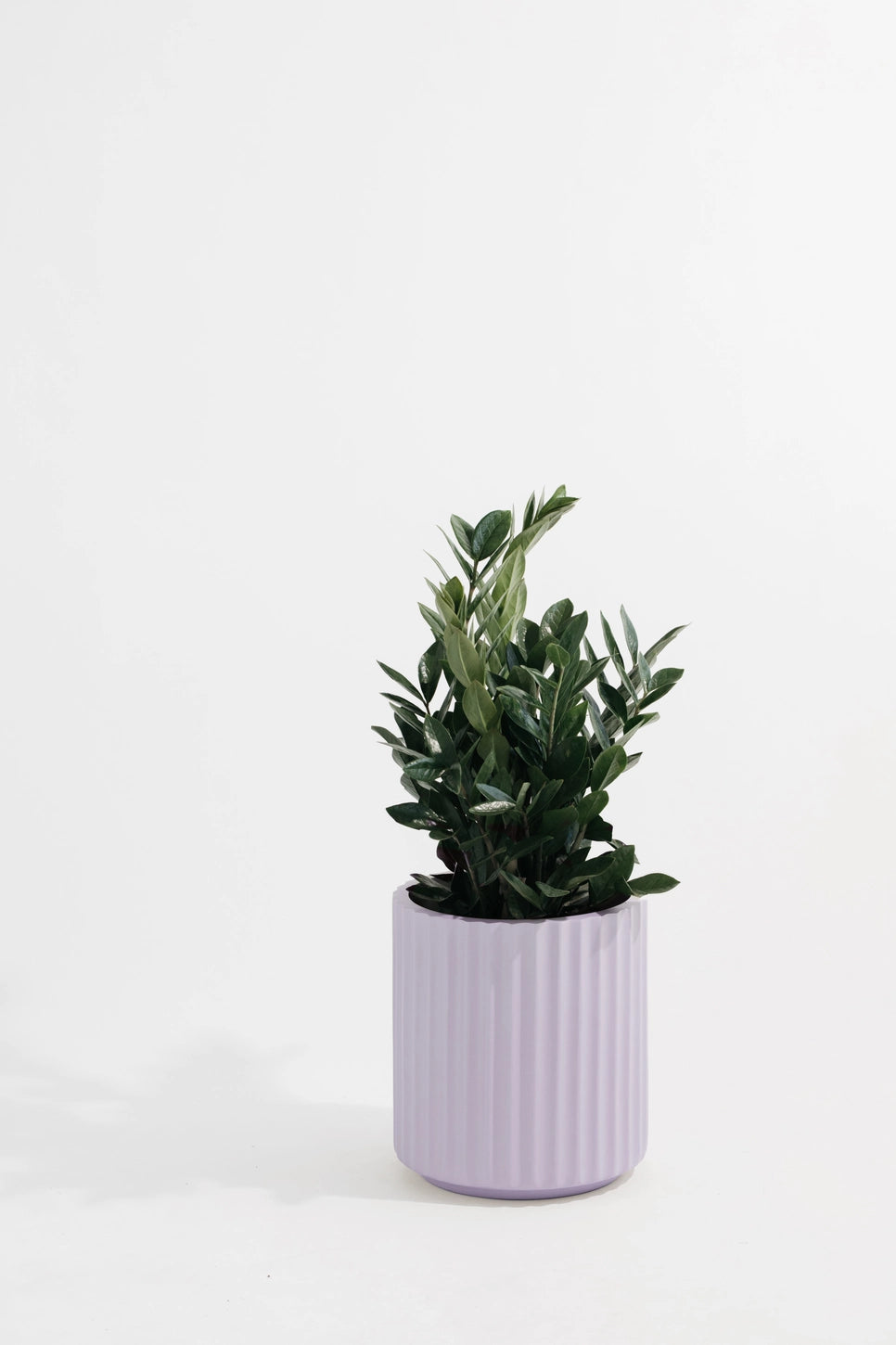 Hudson + Oak Scallop Cylinder Planter