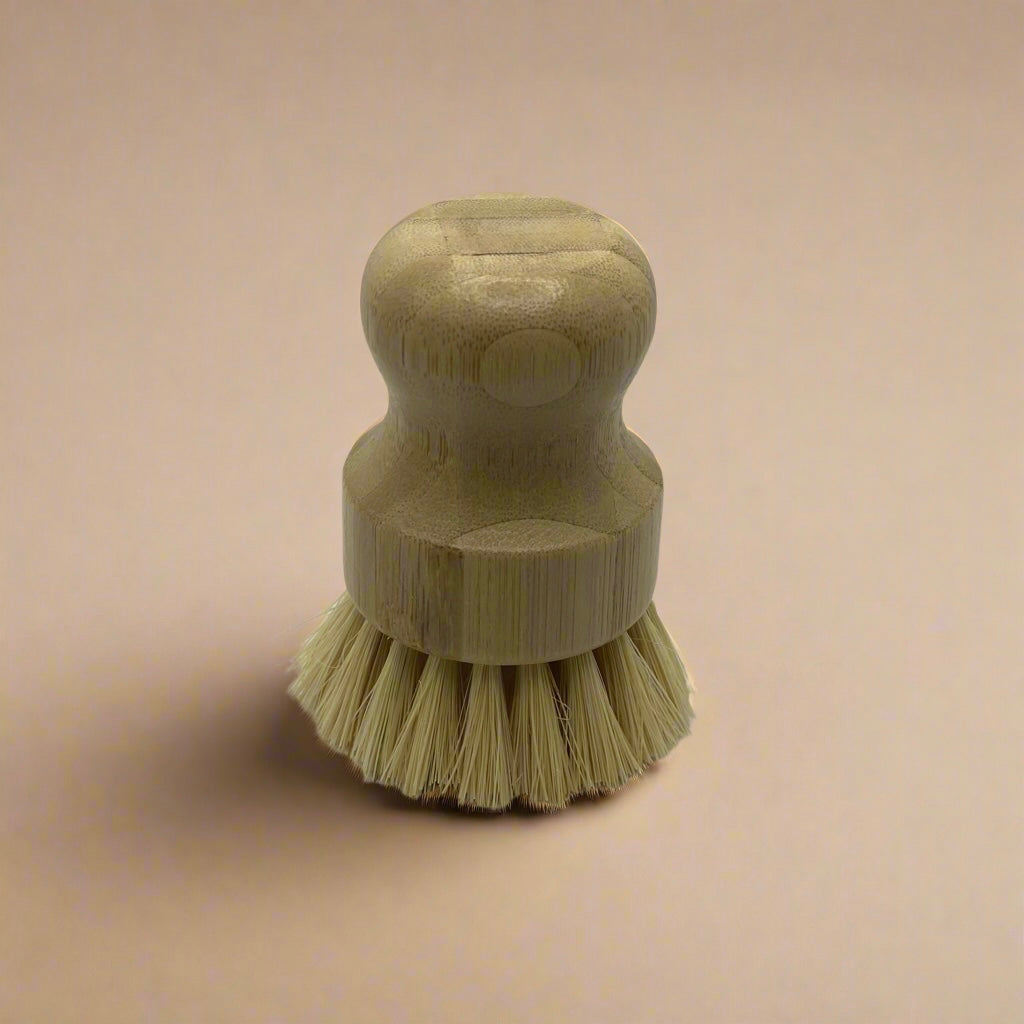Dish Brush