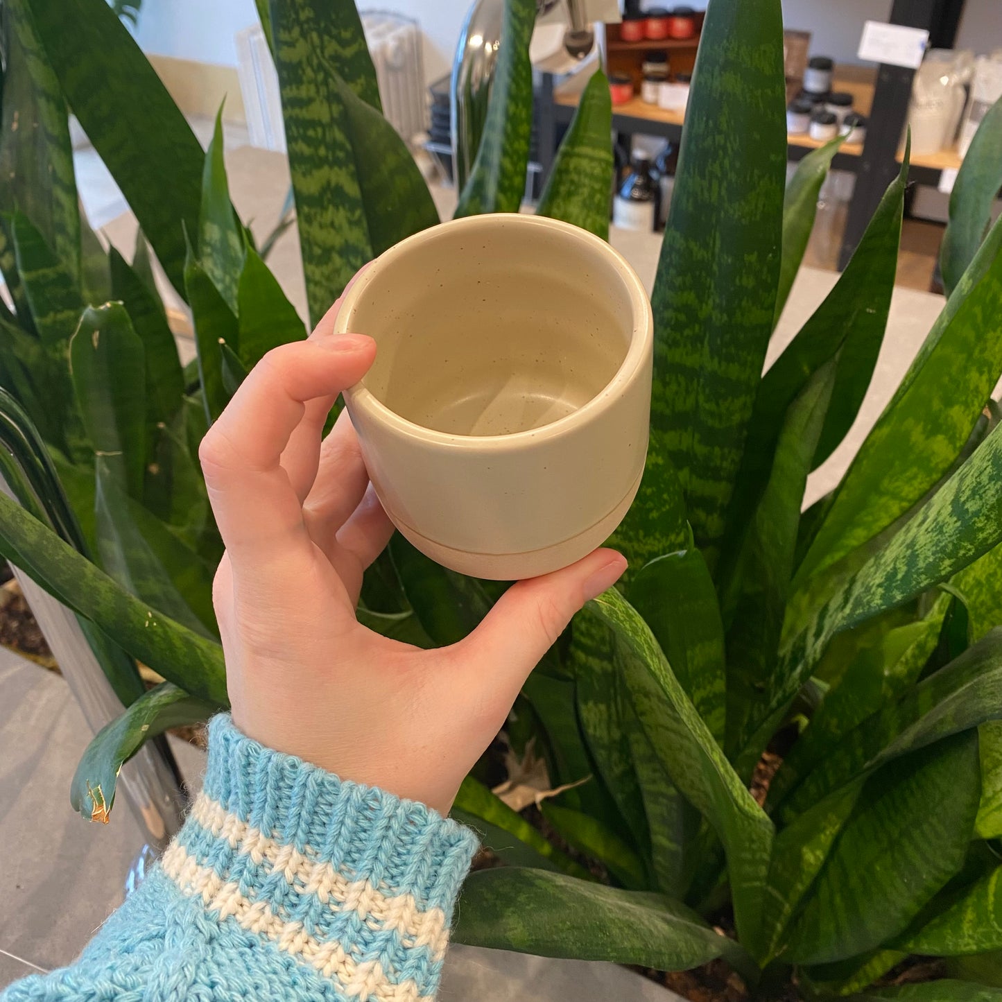 Speckled cup