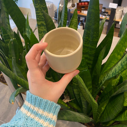 Speckled cup
