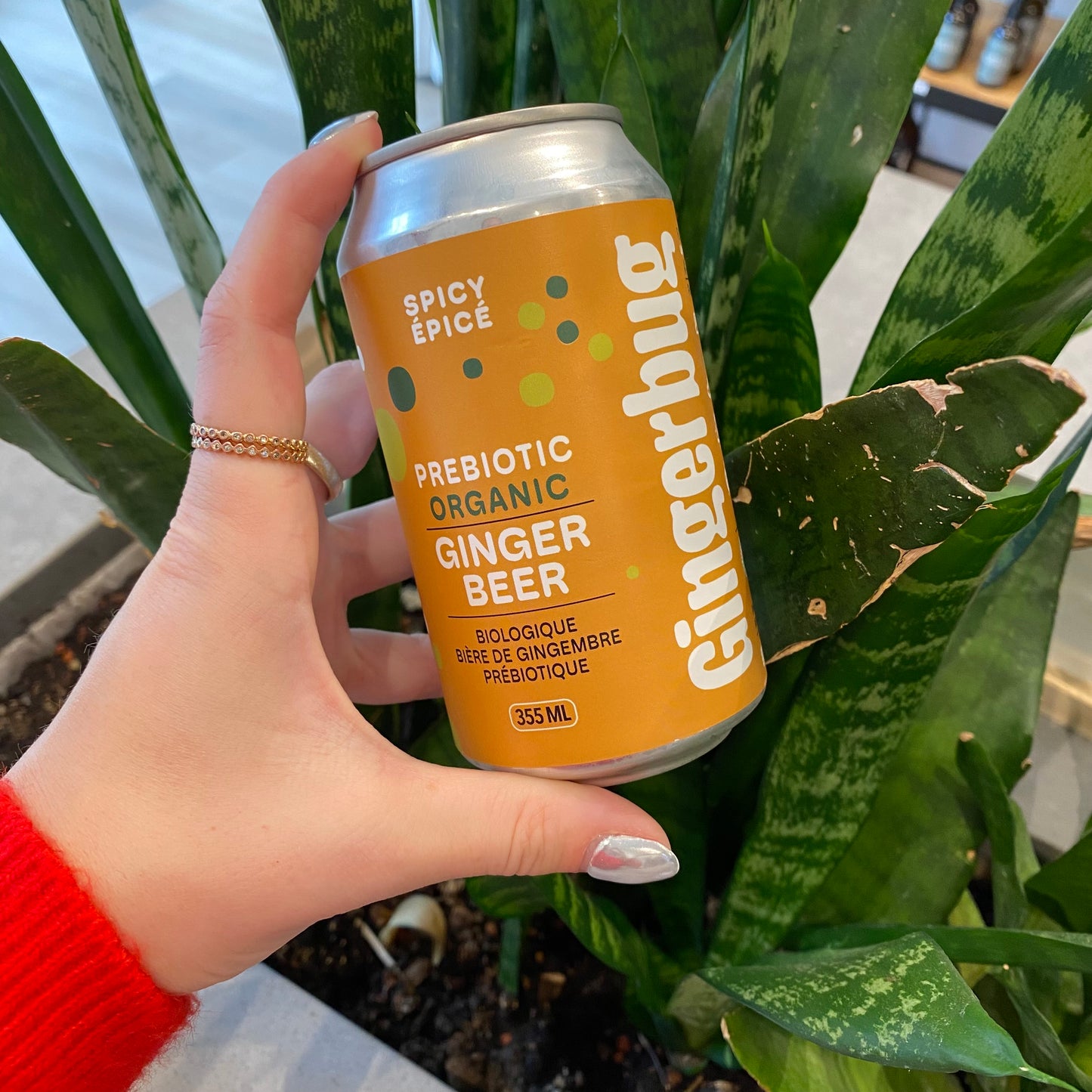 Gingerbug Gingerbeer