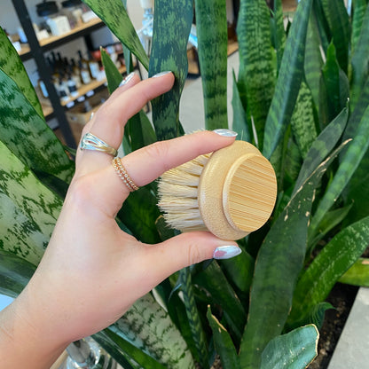 No Tox Life Dish Brush Replacement Head