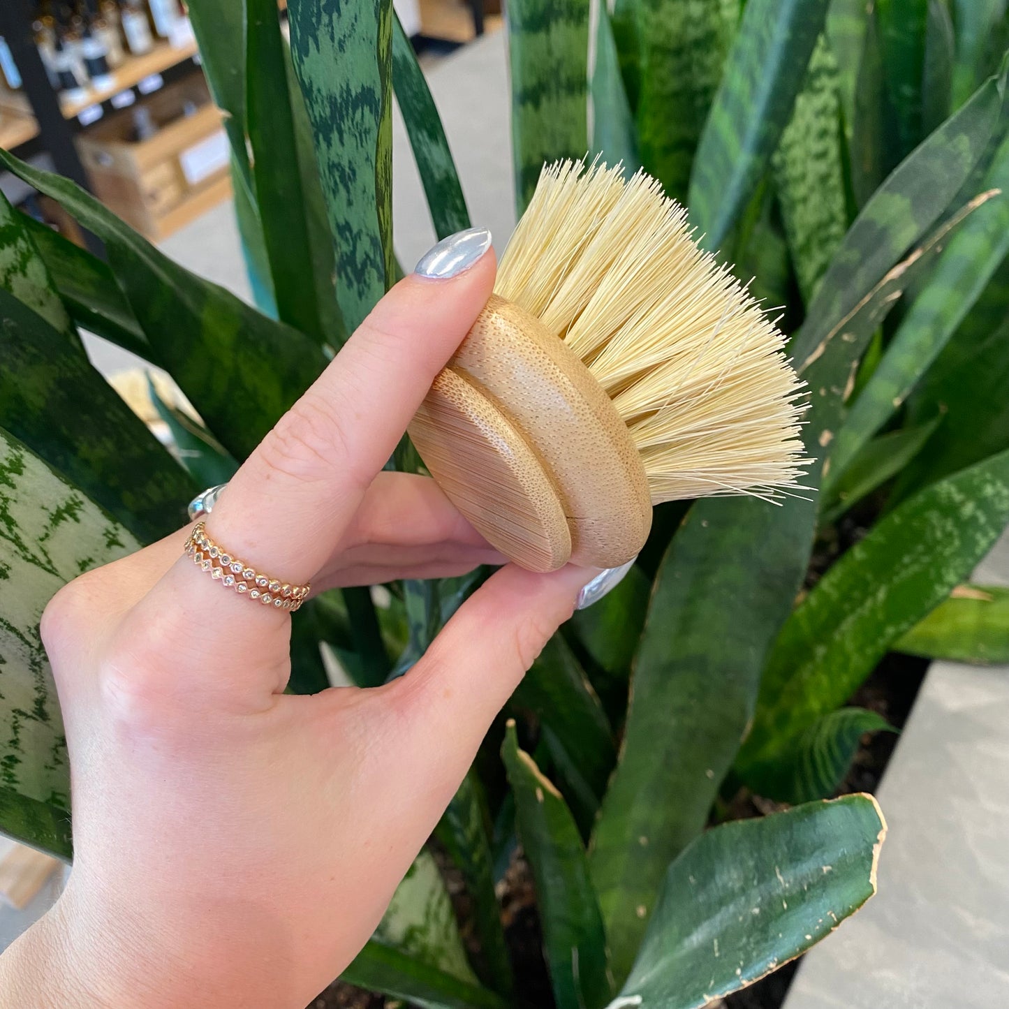 No Tox Life Dish Brush Replacement Head