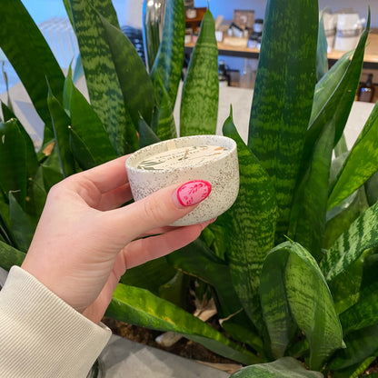 Mimi & August Cafecito Reusable Candle 3oz