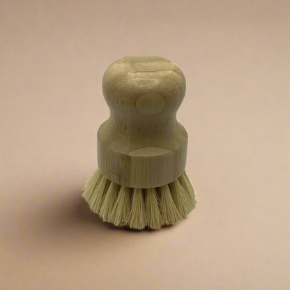 Dish Brush