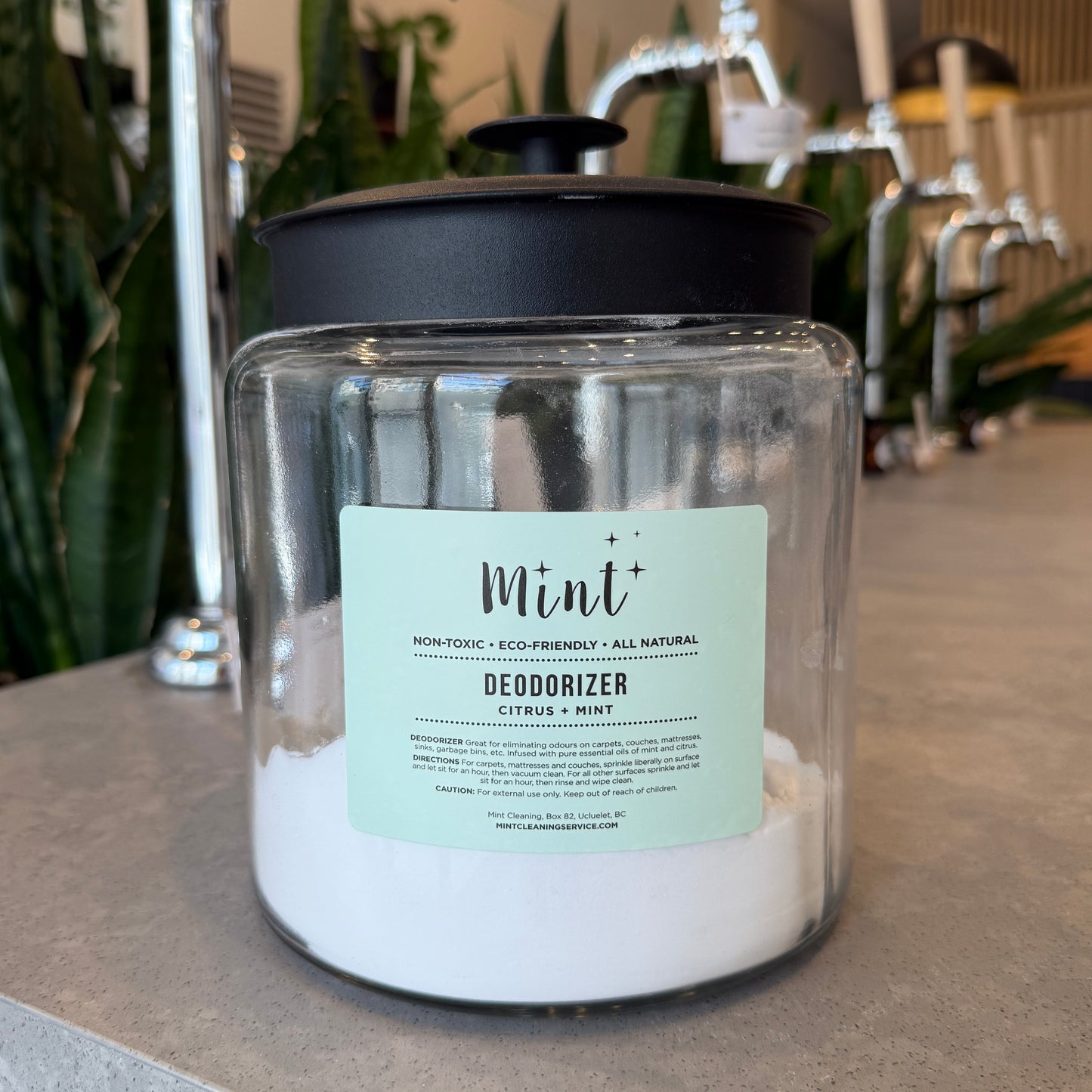 Refill Mint Cleaning Deodorizer