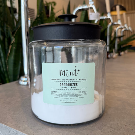 Refill Mint Cleaning Deodorizer